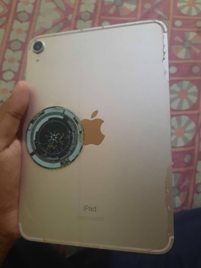 ipad mini6 256gb 5