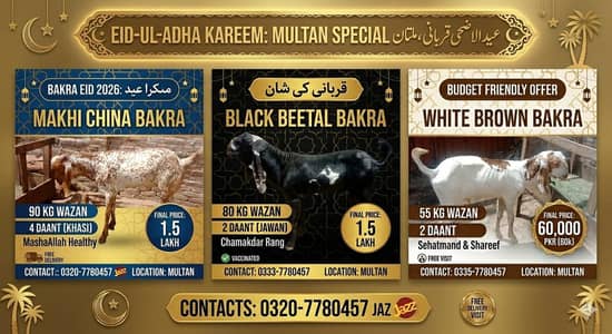 3 VIP Qurbani Bakre for Sale: Makhi China, Black Beetal & White Brown