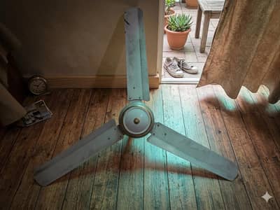 Fan for sale