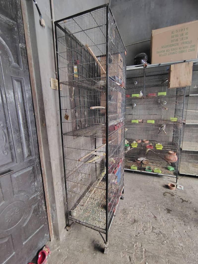 Cages In Multan 1