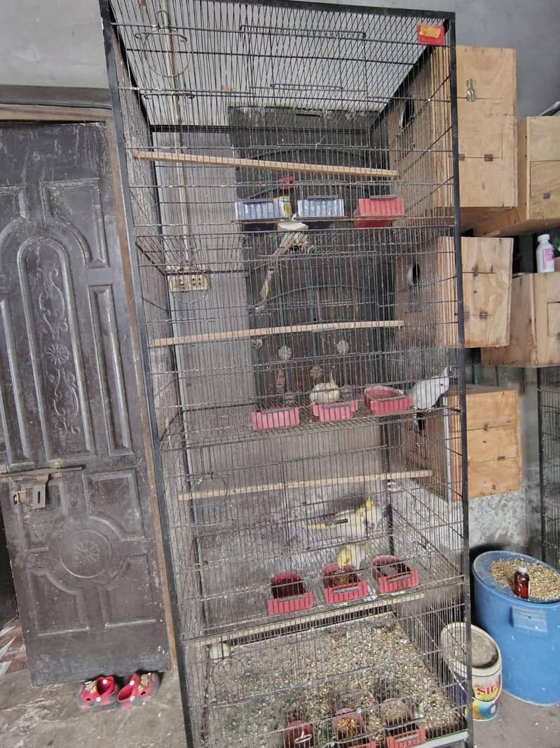 Cages In Multan 2
