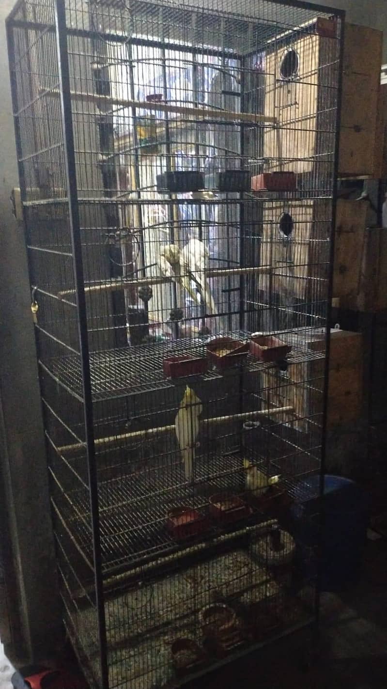 Cages In Multan 3