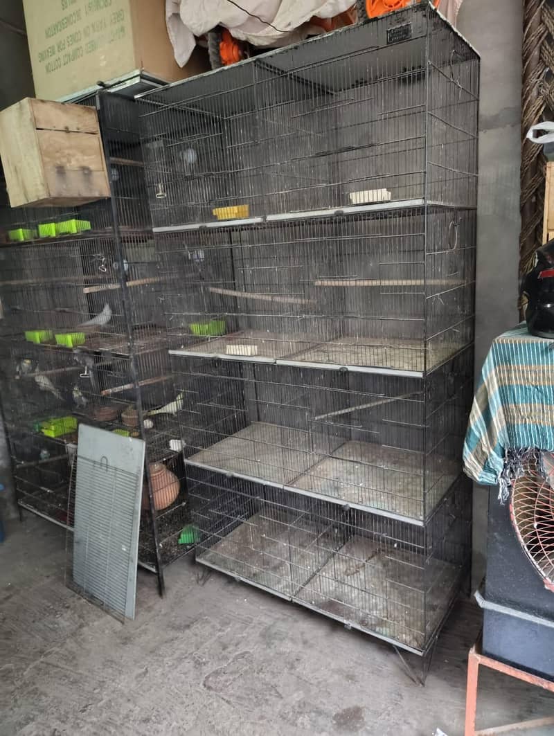 Cages In Multan 4