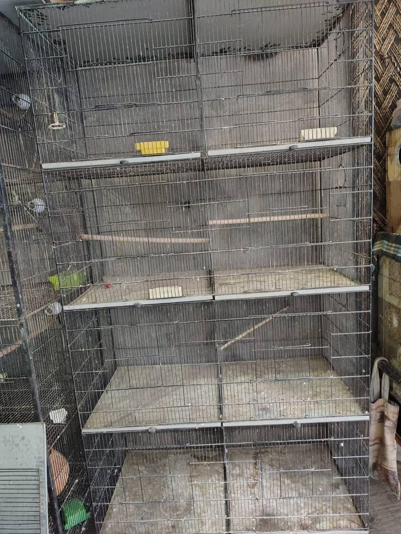 Cages In Multan 5