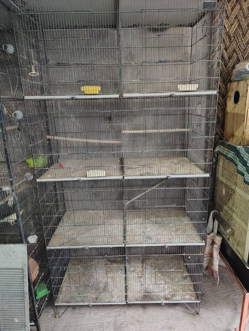 Cages In Multan 6