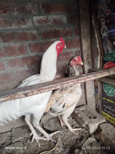 sell Hera pair and 1 more hene