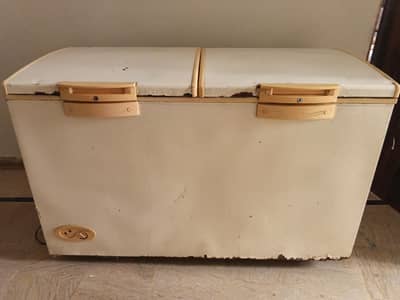 Double door freezer