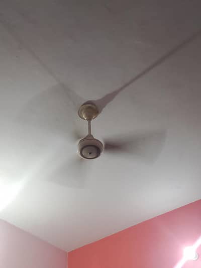 FAN 56 INCH FULL COPPER
