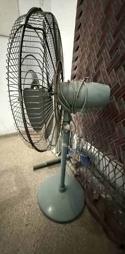 Pedestal Fan (pak fan)