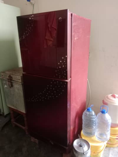Pell medium size frige