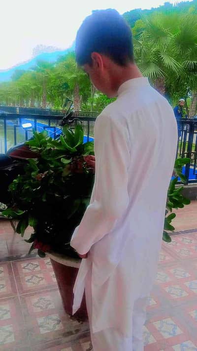 IBADKING 