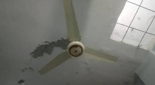 FAN 56 INCH FULL COPPER