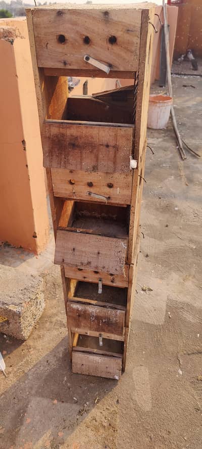 Love birds boxes 10/9 condition one time used only