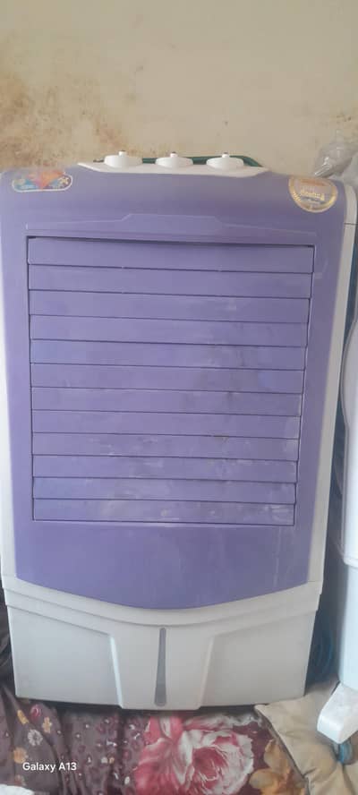 room cooler