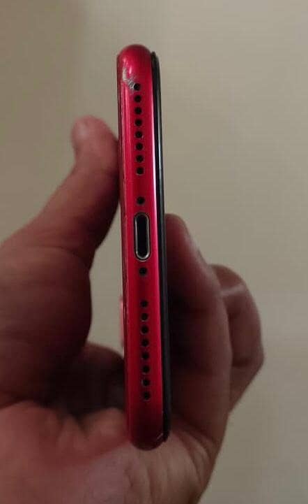 8 plus 4