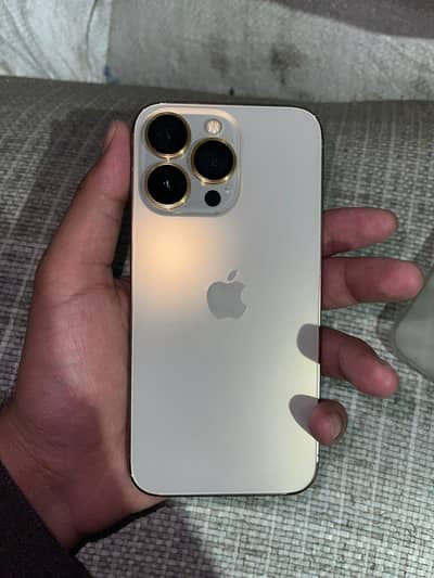 13 pro