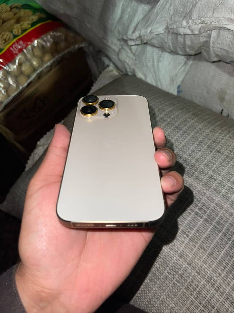 13 pro 1