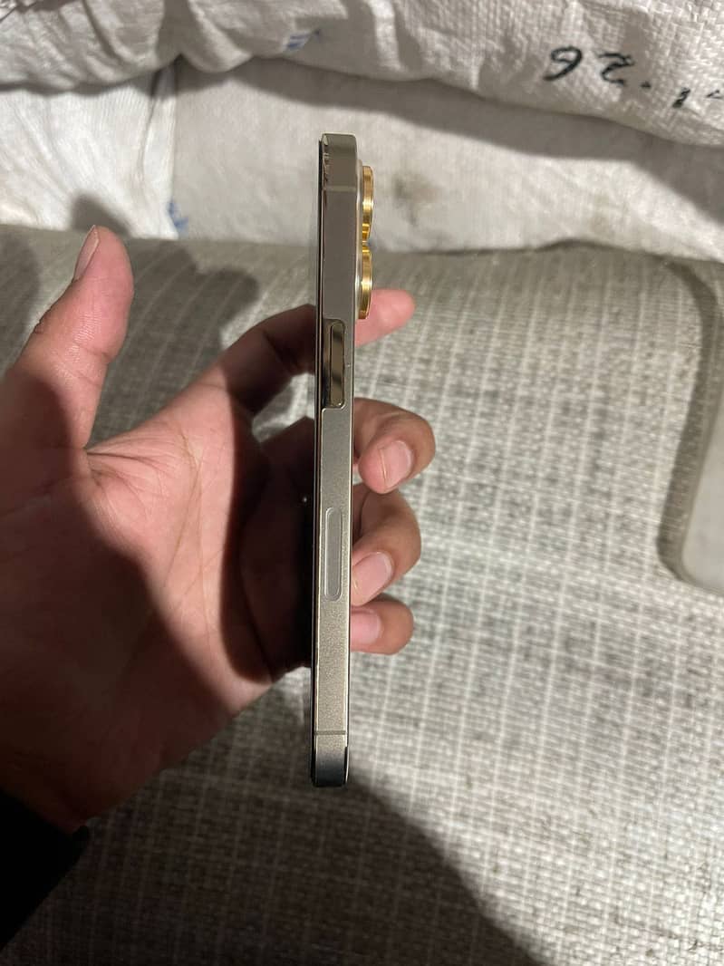 13 pro 2