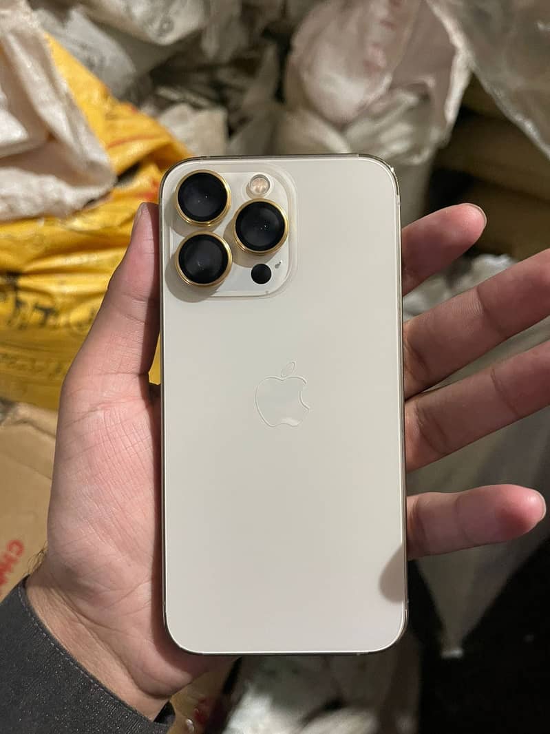 13 pro 3
