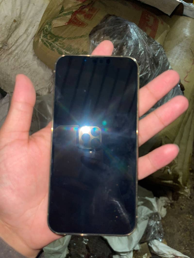 13 pro 6