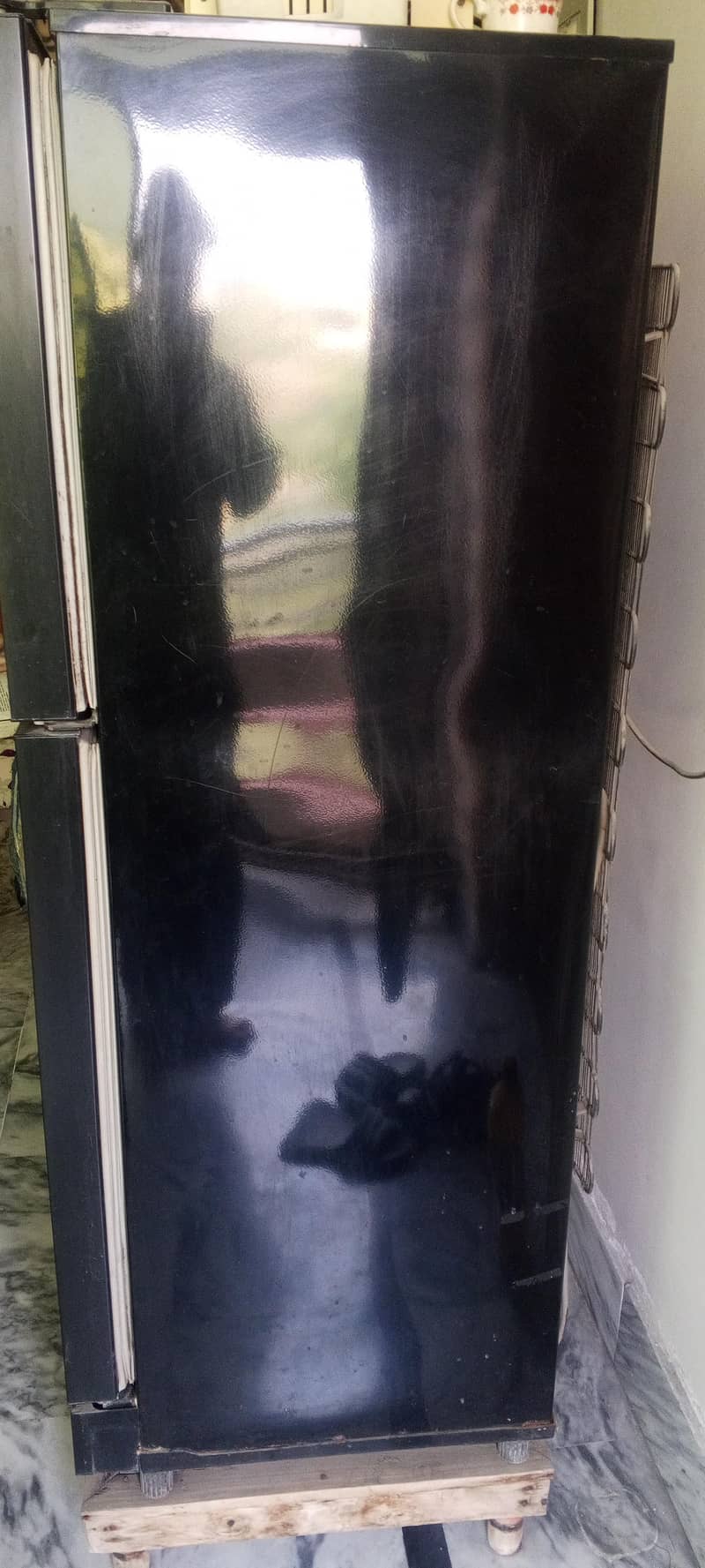 refrigerator 1