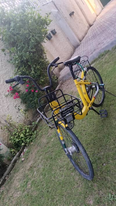 Japanese Full size bicycle