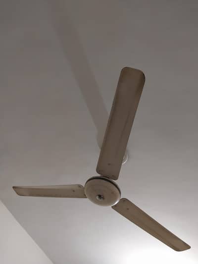 ceiling fan