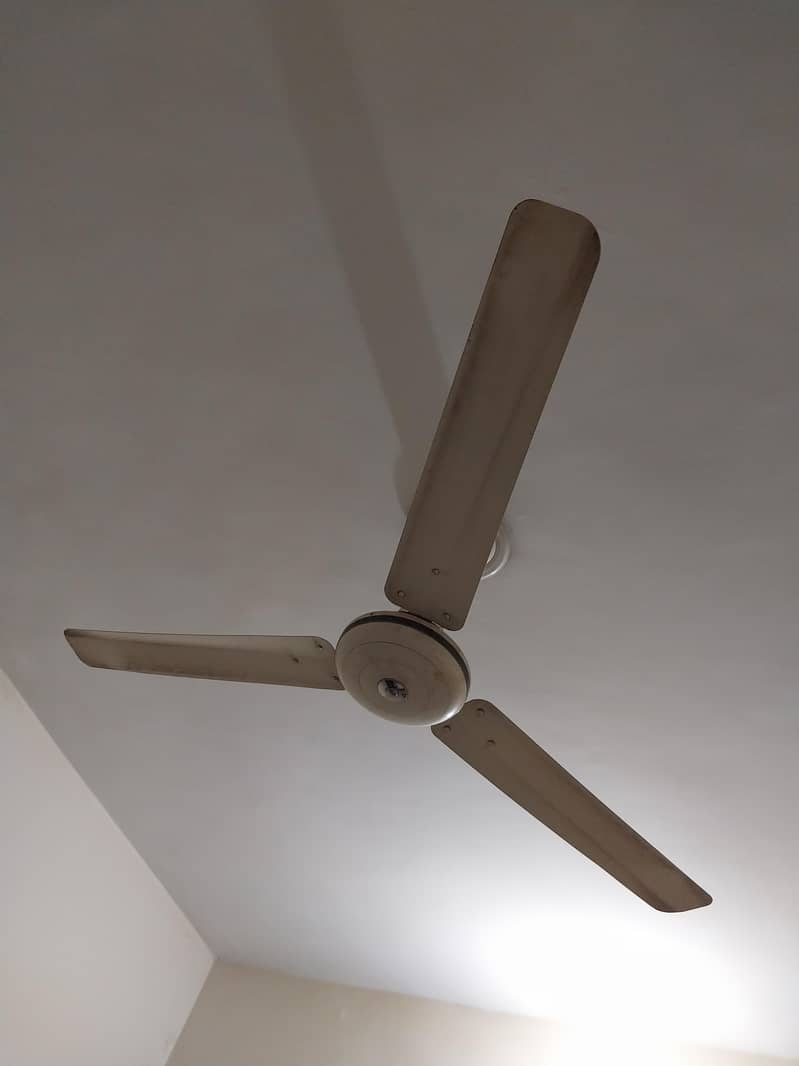 ceiling fan 1