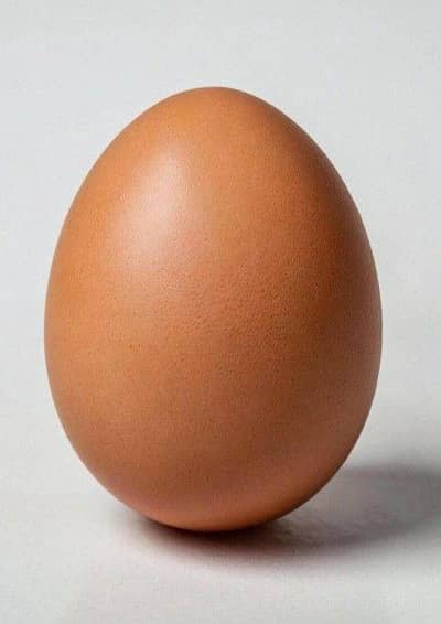 Assel Eggs