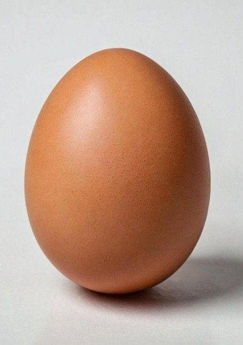 Assel Eggs 0