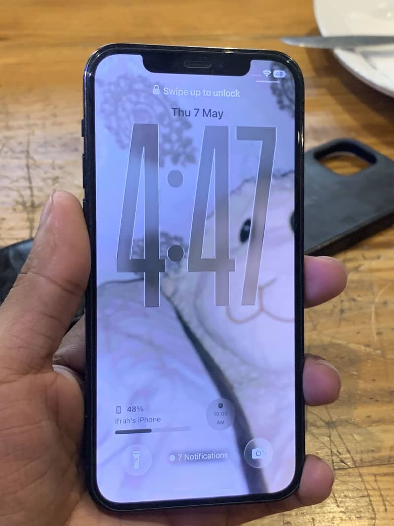 12 pro 2