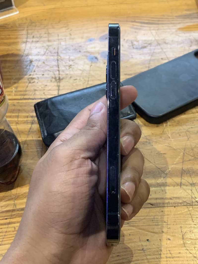 12 pro 3