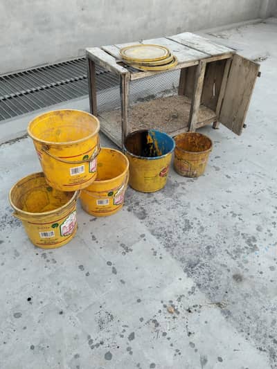 khurli 5 baltiyya pinjra for sale