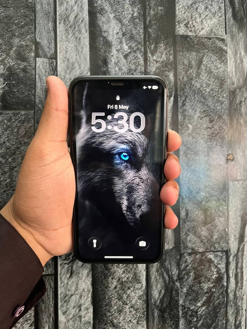 iPhone 11 0