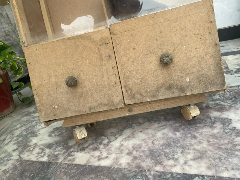 Birds seed cleaner urgent sell — photo 6