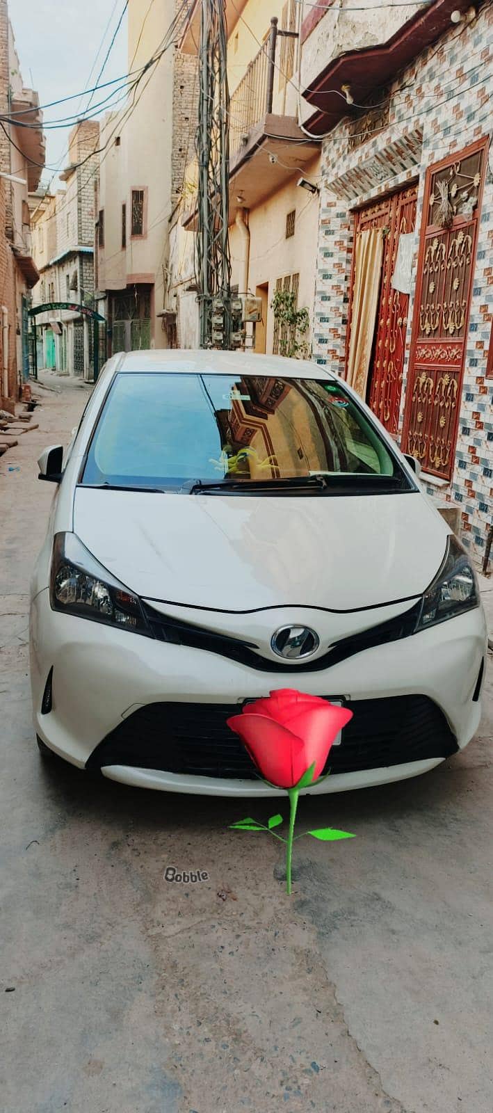 vitz spider shape 0