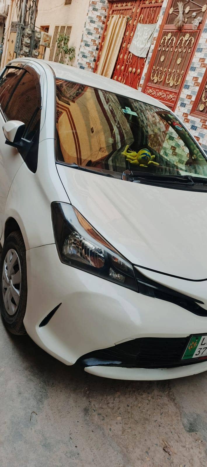vitz spider shape 1