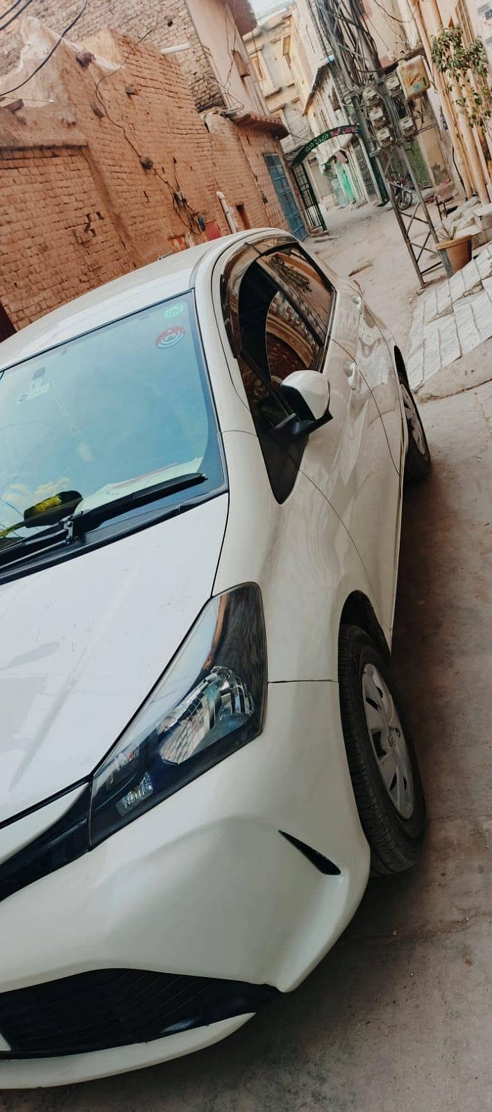 vitz spider shape 2