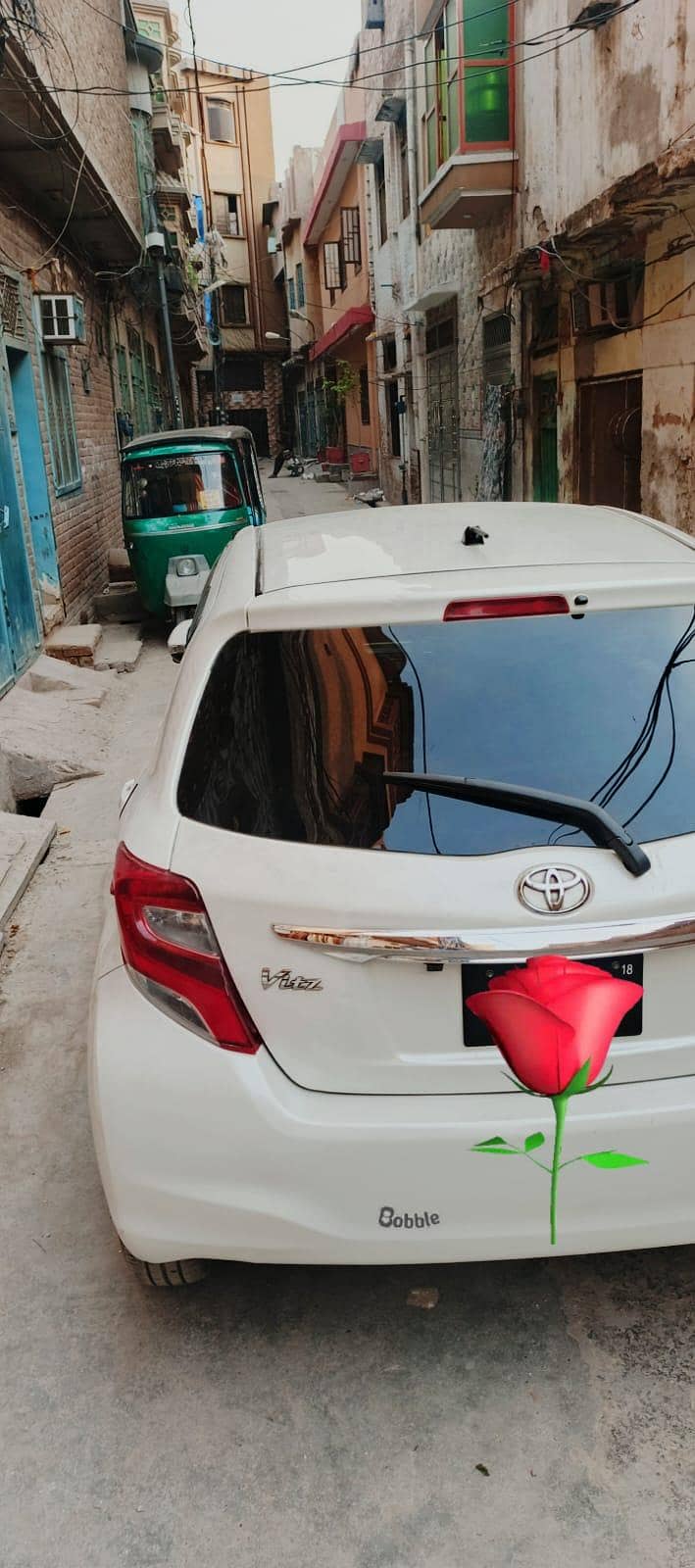 vitz spider shape 5