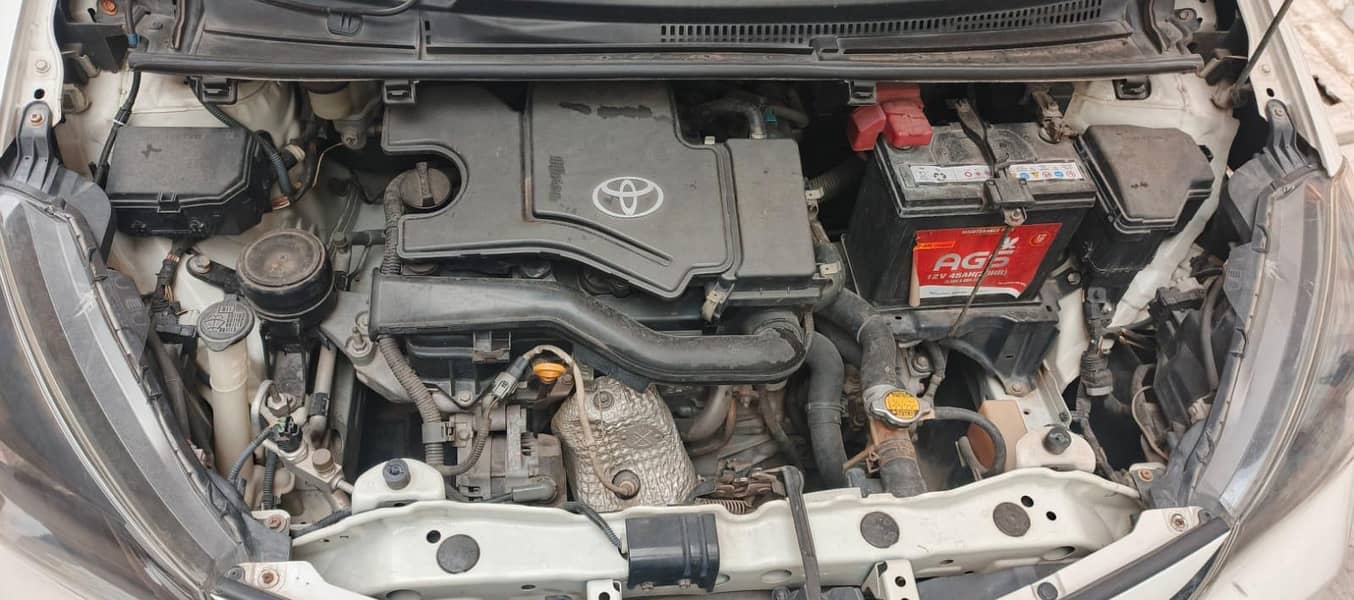 vitz spider shape 8