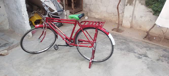 نیو سائیکل برائے فروخت