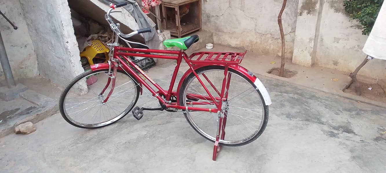 نیو سائیکل برائے فروخت 1