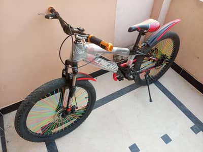 mountain Bike