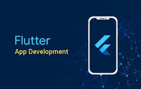 Professional Web Development & Flutter App Development Services