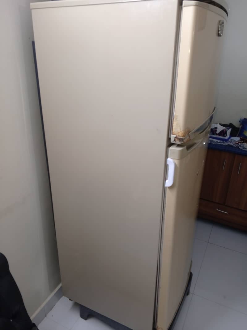 Waves fridge 1
