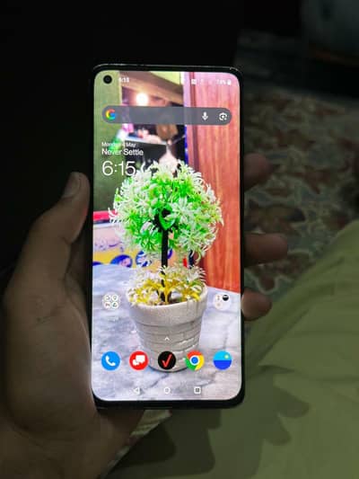 One plus 8 non pta