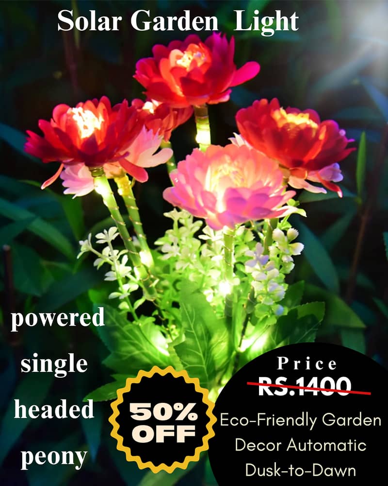 Garden Light ( Automatic) Solar 11
