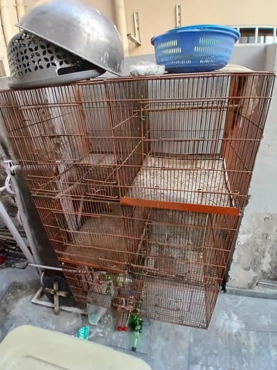 iron cage