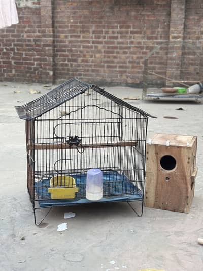 Iron cage for sale