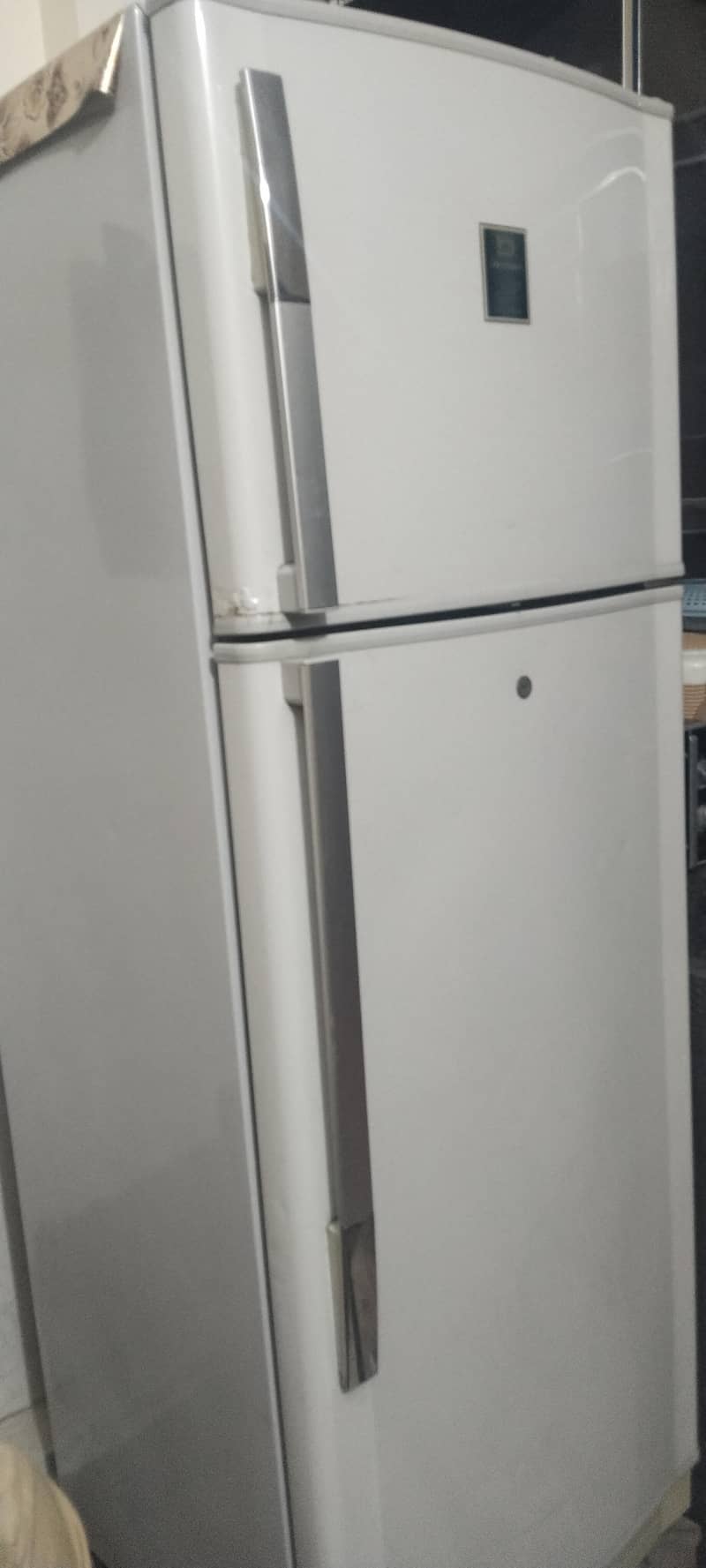 Medium size fridge 3